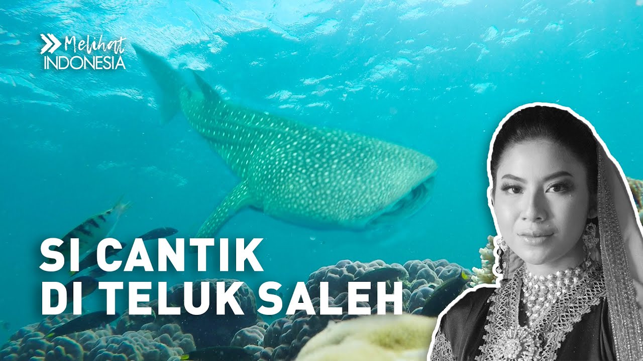 FILM MELIHAT INDONESIA: SI CANTIK DI TELUK SALEH