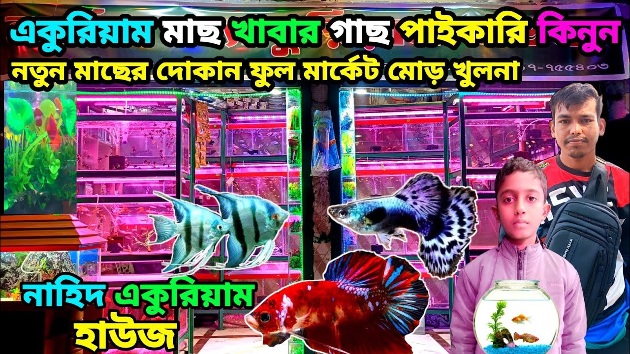 NahidAquarium Fish shop in Khulna fish shop aquarium fish price Khulna flower market #aquarium #fish