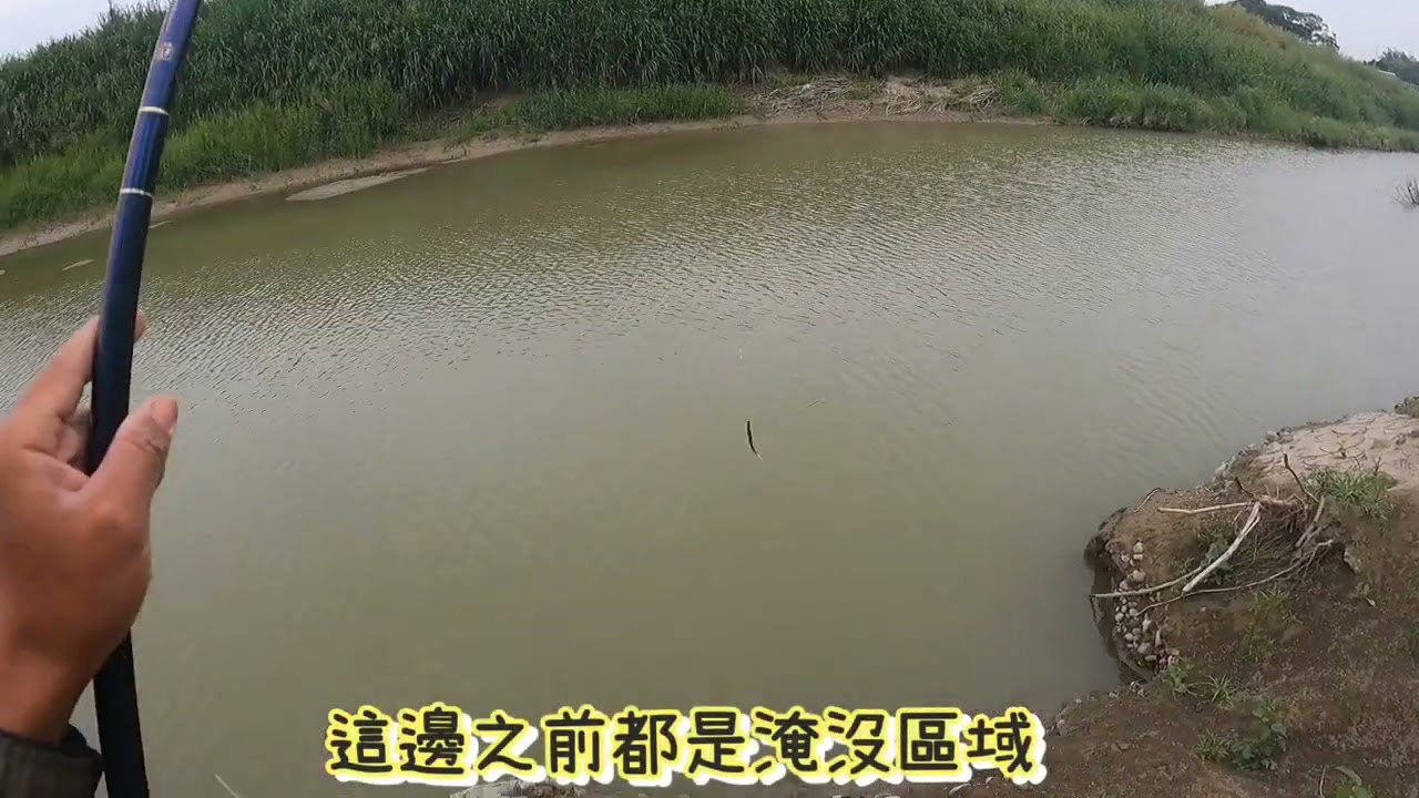 整個溪流生態消失
