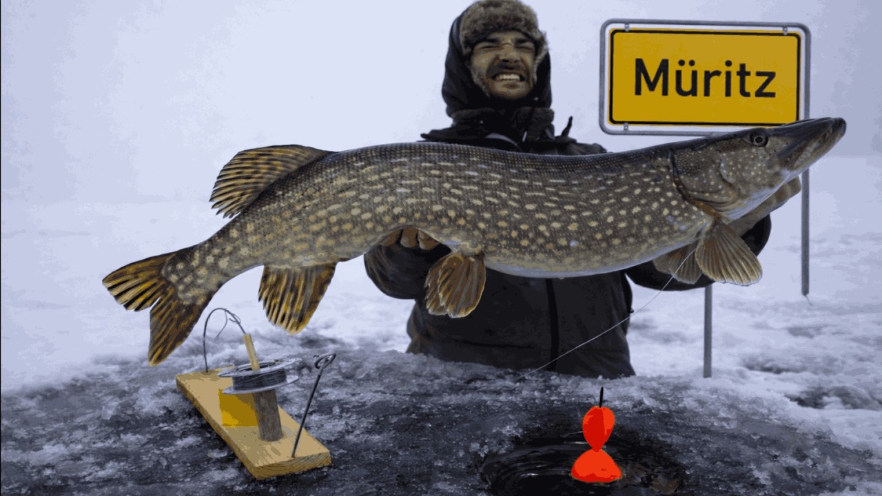 Wir Angeln mitten auf dem größten See Deutschlands! Und fangen riesige Fische!