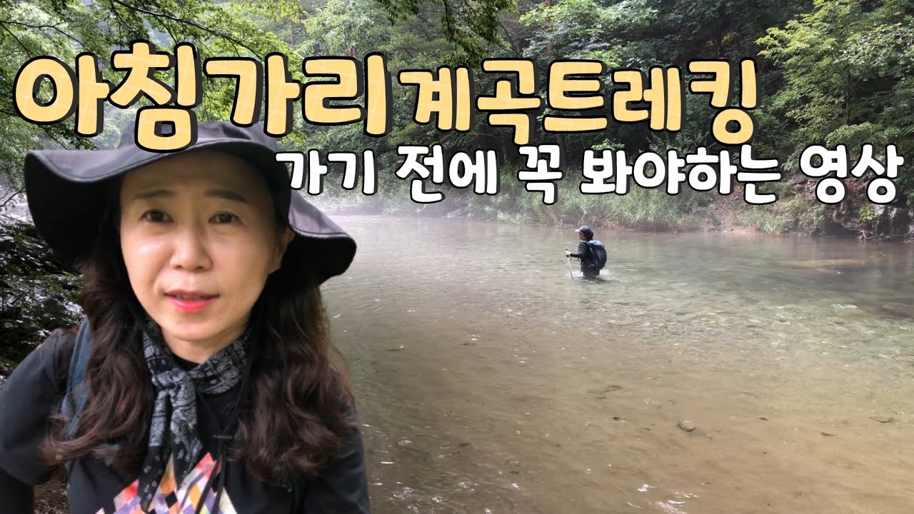 아침가리 계곡트레킹 가기 전에 꼭 봐야하는 영상/계곡 트레킹 1순위/등산 예능/강원도 인제군