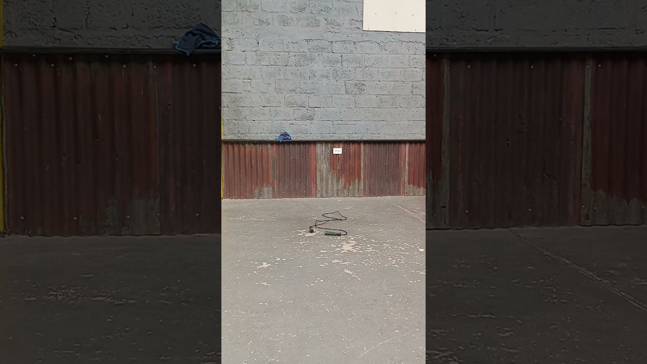 Día 124