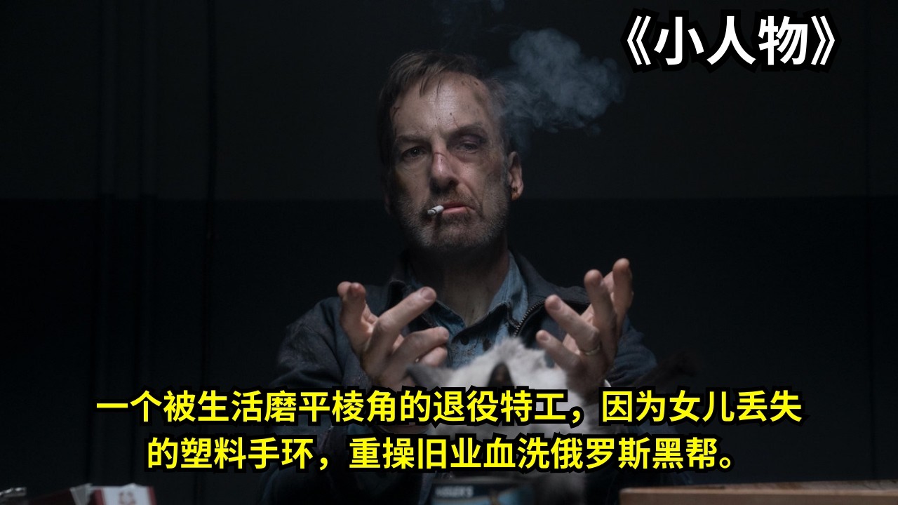 [ 2026 年最佳影评 ]  一个被生活磨平棱角的退役特工，因为女儿丢失的塑料手环，重操旧业血洗俄罗斯黑帮。  | 影评小站