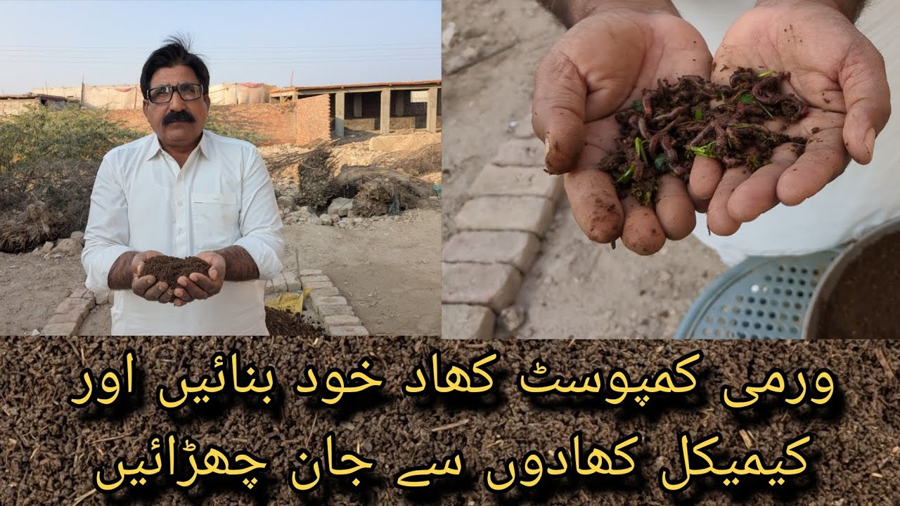 Vermicompst khad khud tiar karen