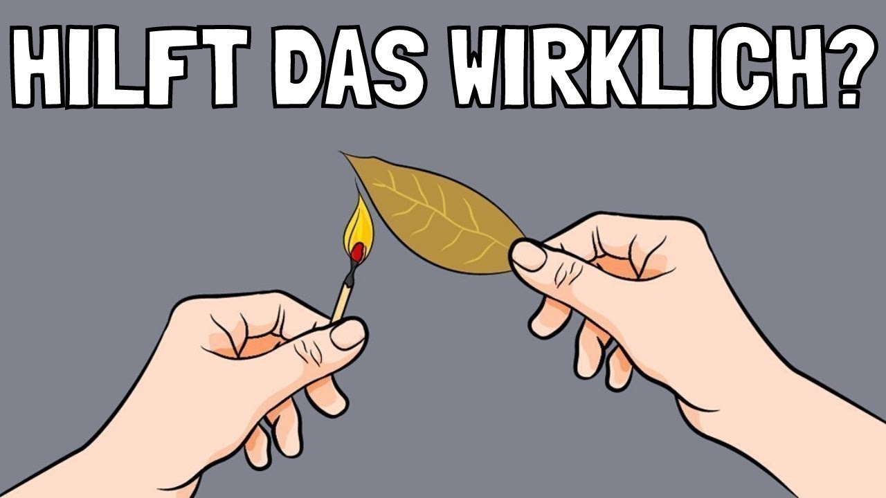 Warum du ein Lorbeerblatt in deinem Zimmer verbrennen solltest!