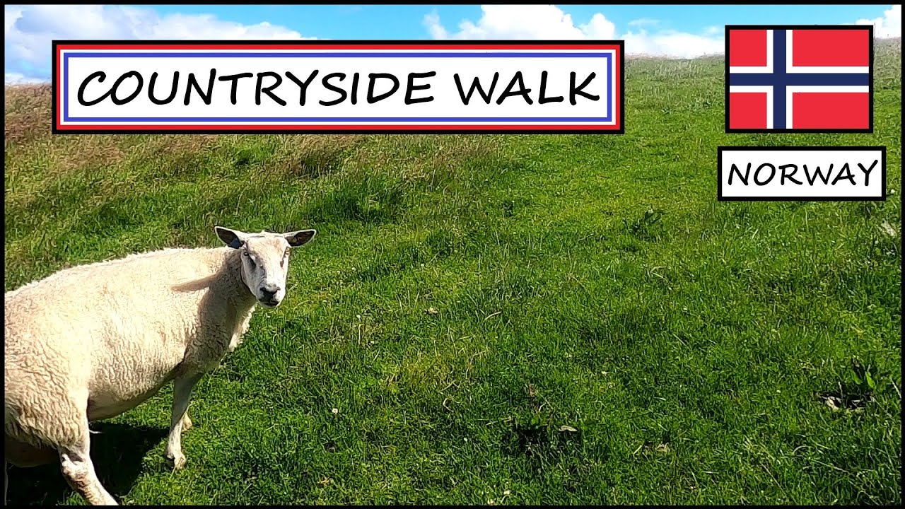 Countryside walk along the fjord 🌞 Karmøy - Norway 🌳