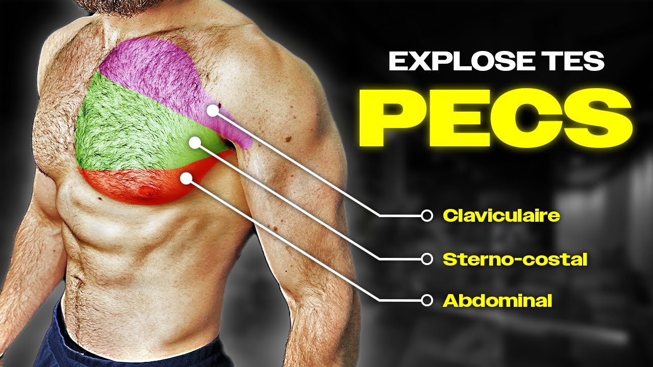 Ces 3 exercices PECS devraient être obligatoire ! (Expliqué par la science)
