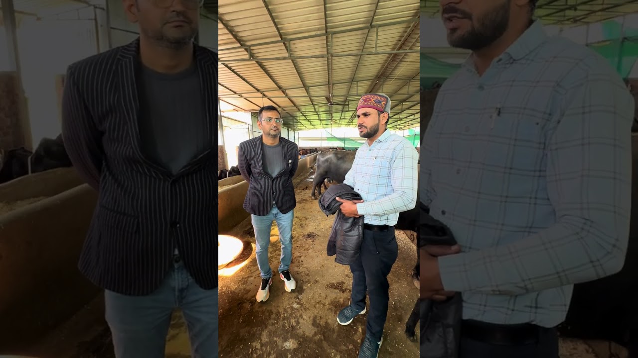 Dairy Farming in Ujjain education to farmers is essential for scientific development at ground level