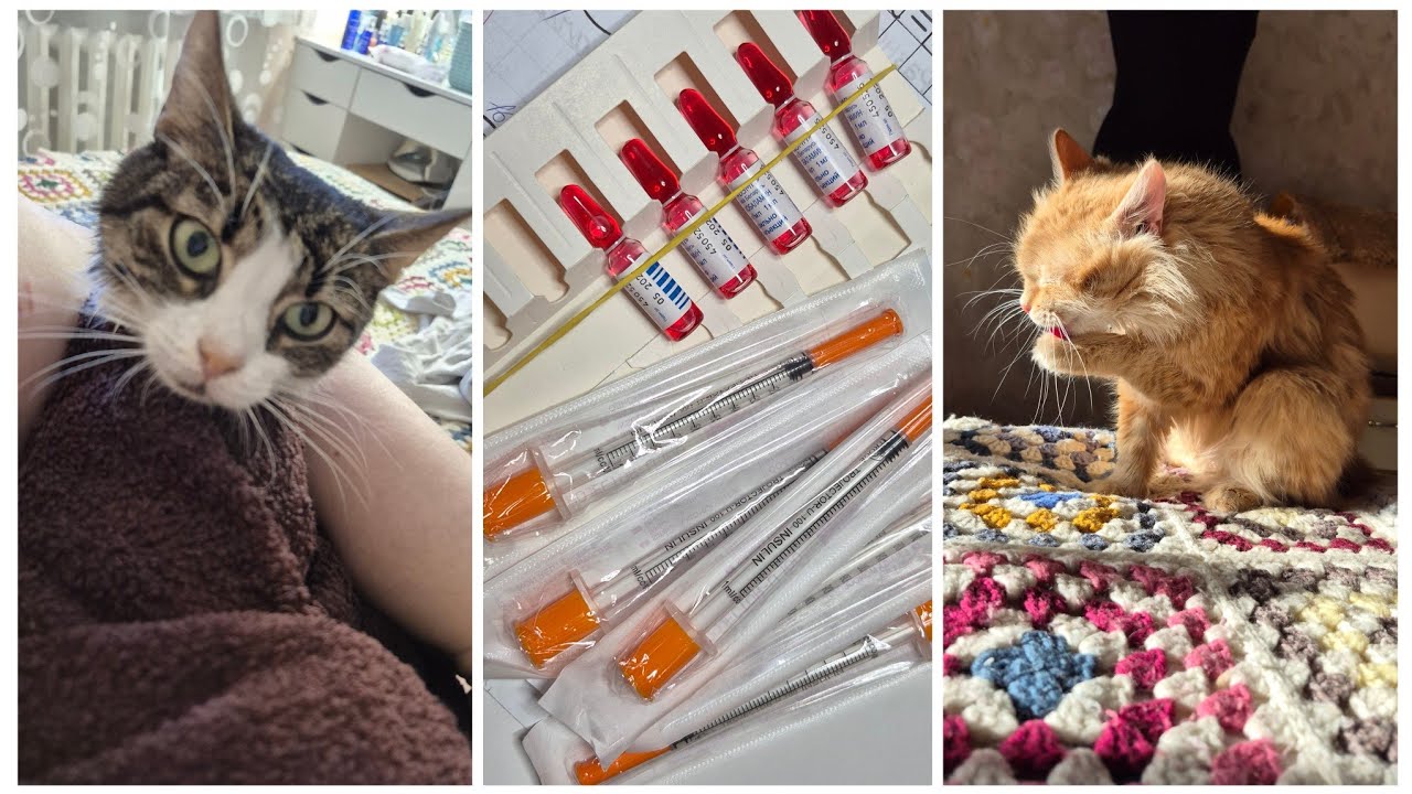 VLOG 619: ВСЕ МЫСЛИ ТОЛЬКО ОБ ЭТОМ