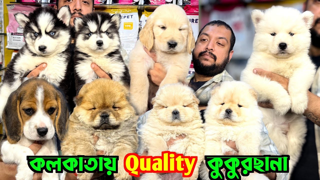 The Unbelievable Dog Market of Kolkata. Dog Market in Kolkata Price. Pet Shop in Kolkata.