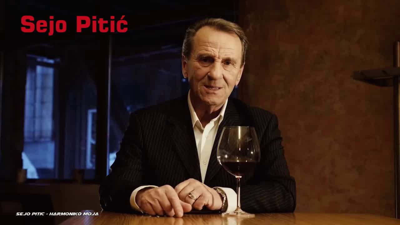 Sejo Pitić - Harmoniko moja