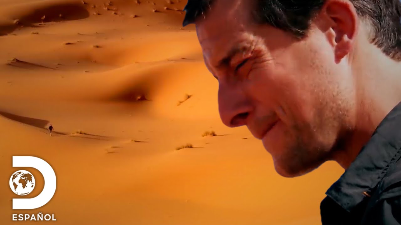 Técnicas para sobrevivir sin agua en el desierto | Bear Grylls | Discovery en Español