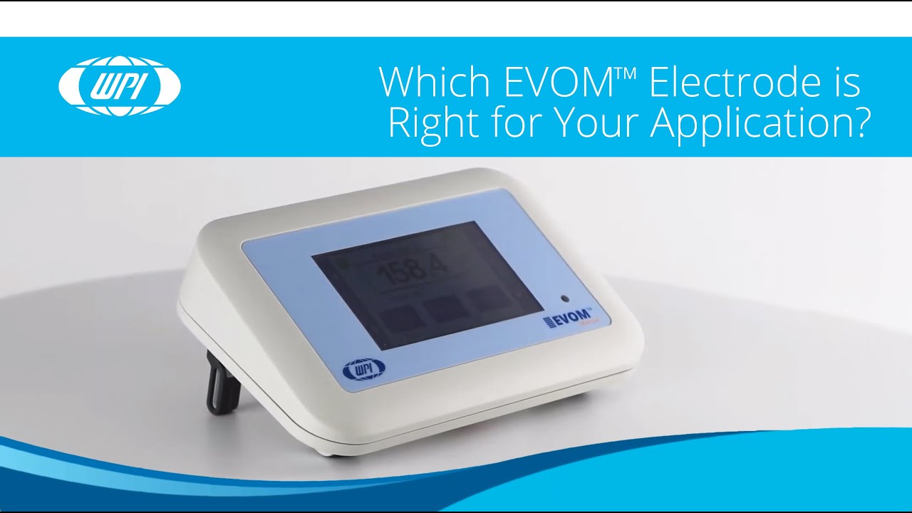 Which EVOM™ Electrode is Right for Your Application?