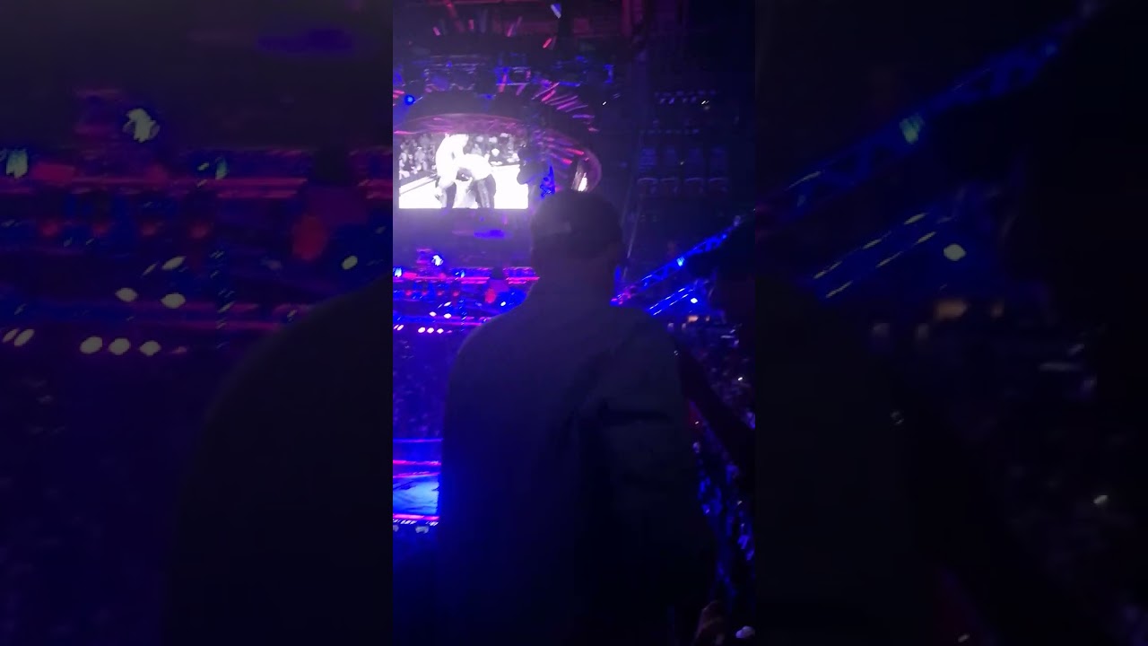 UFC 299 Intro (Baba O'Reiley The Who + Face The Pain)