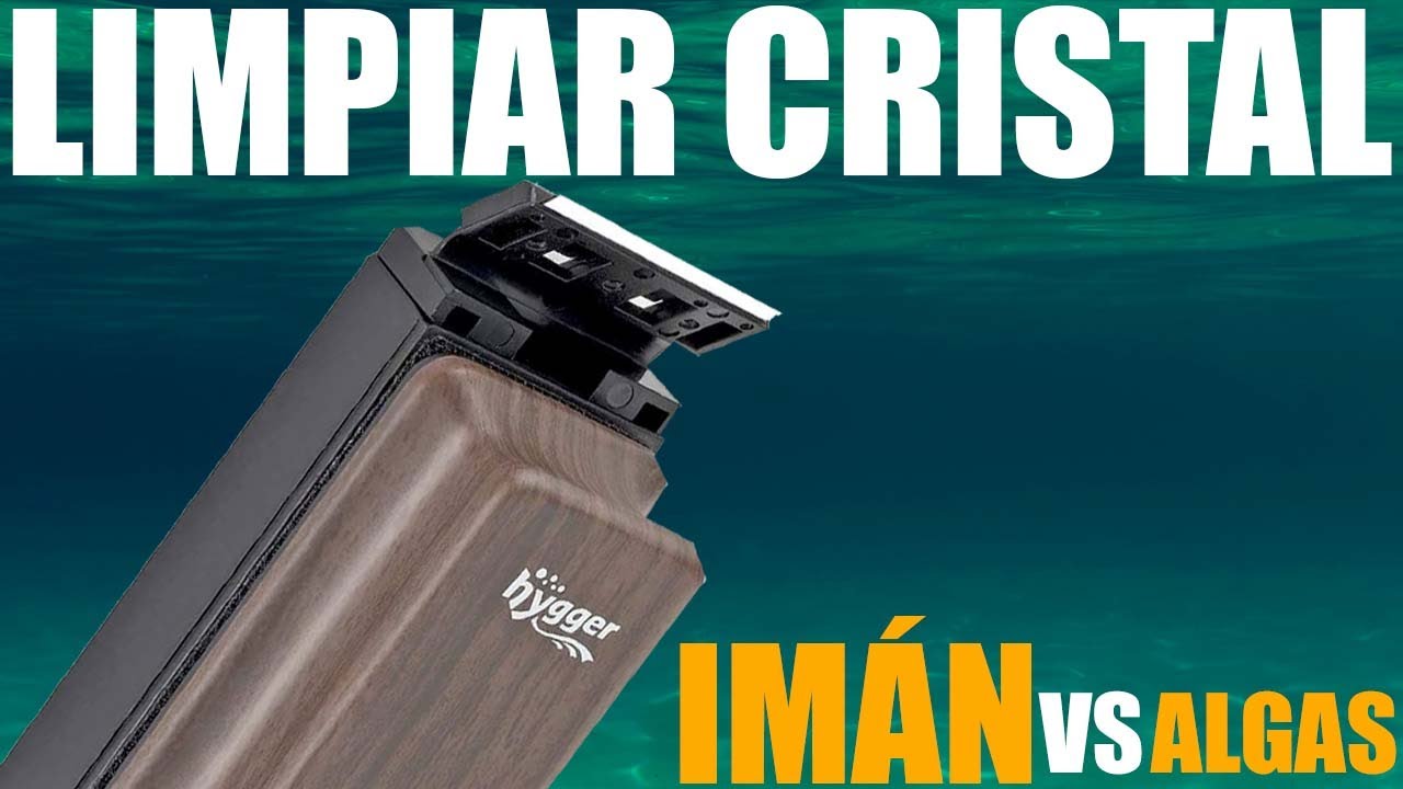 QUITAR ALGAS DEL CRISTAL - Utilizamos el mejor limpiador de imán!