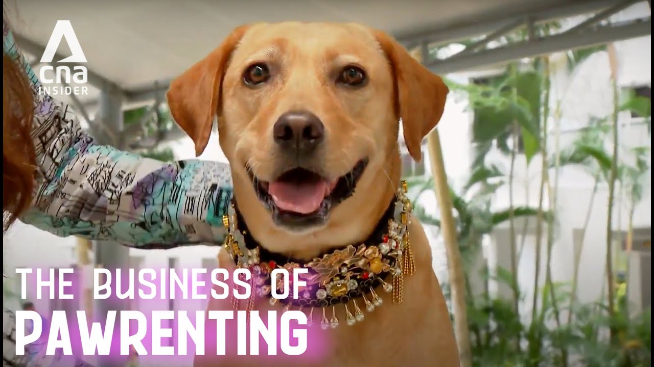 Bespoke Pet Fashion, Food & Furniture: How We Spoil Our Dogs & Cats | The Business Of Pawrenting
