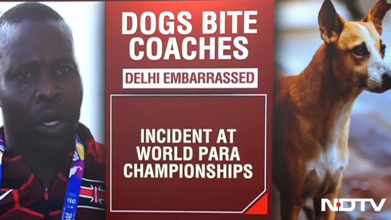 Stray Dog Bites Kenyan Official In Delhi During World Para Athletics Championships
