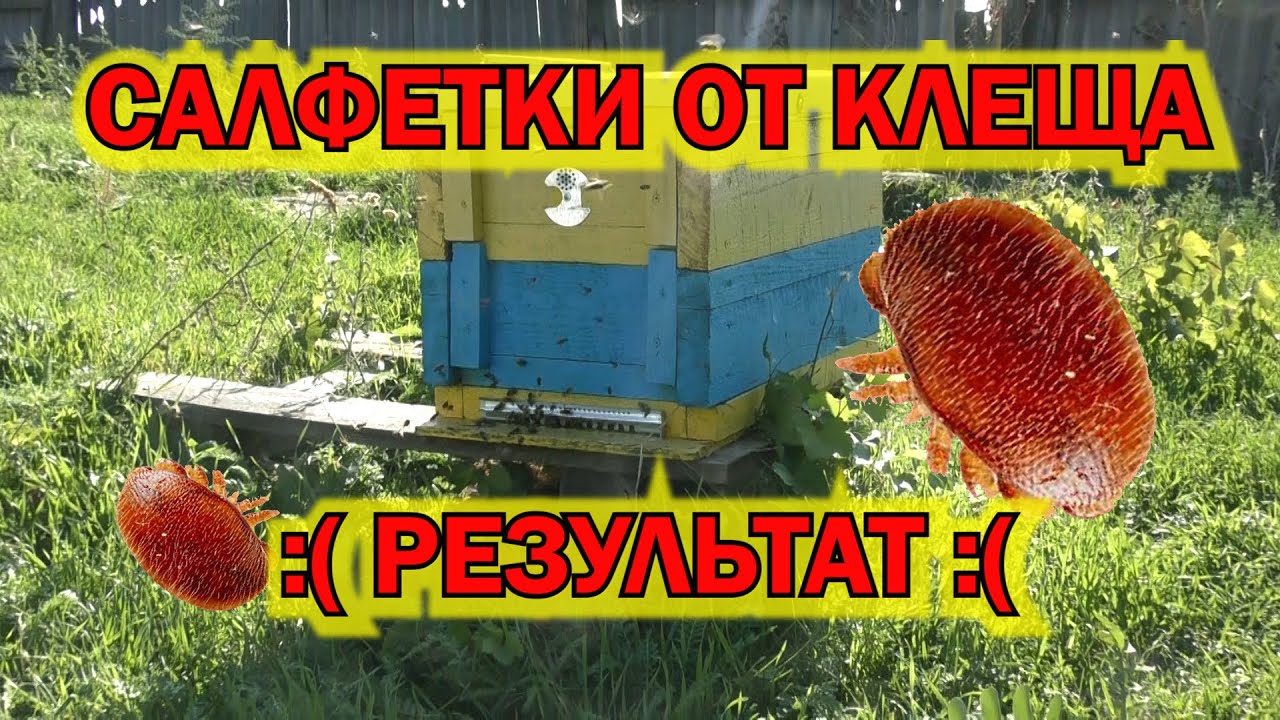 САЛФЕТКИ ОТ КЛЕЩА. РЕЗУЛЬТАТ.