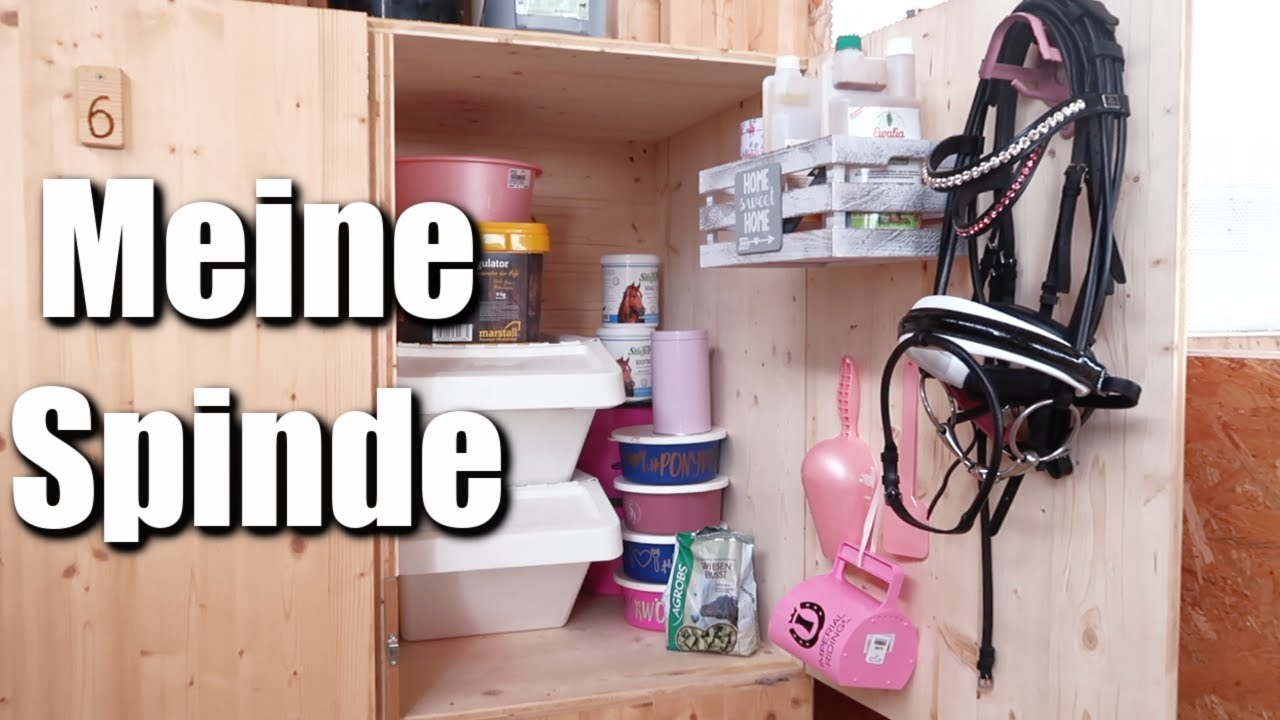 MEINE ZWEI PFERDESPINDE