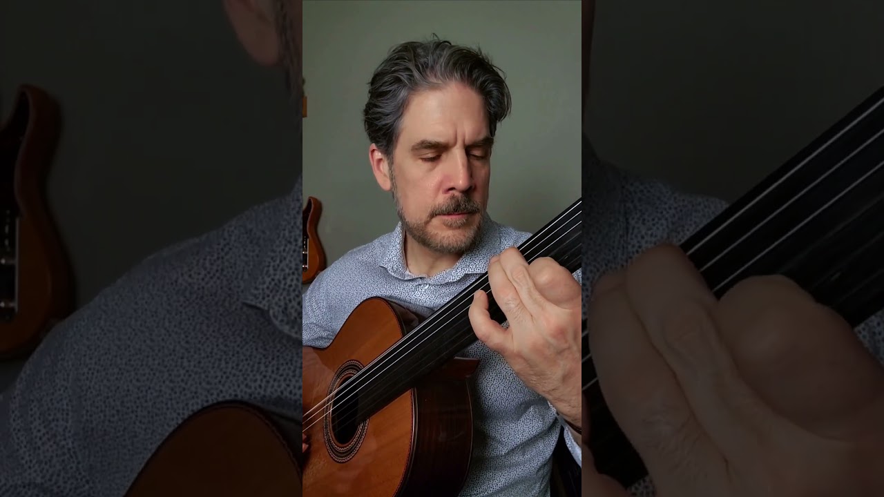 Fretted vs. Fretless Guitar Comparison Part 8