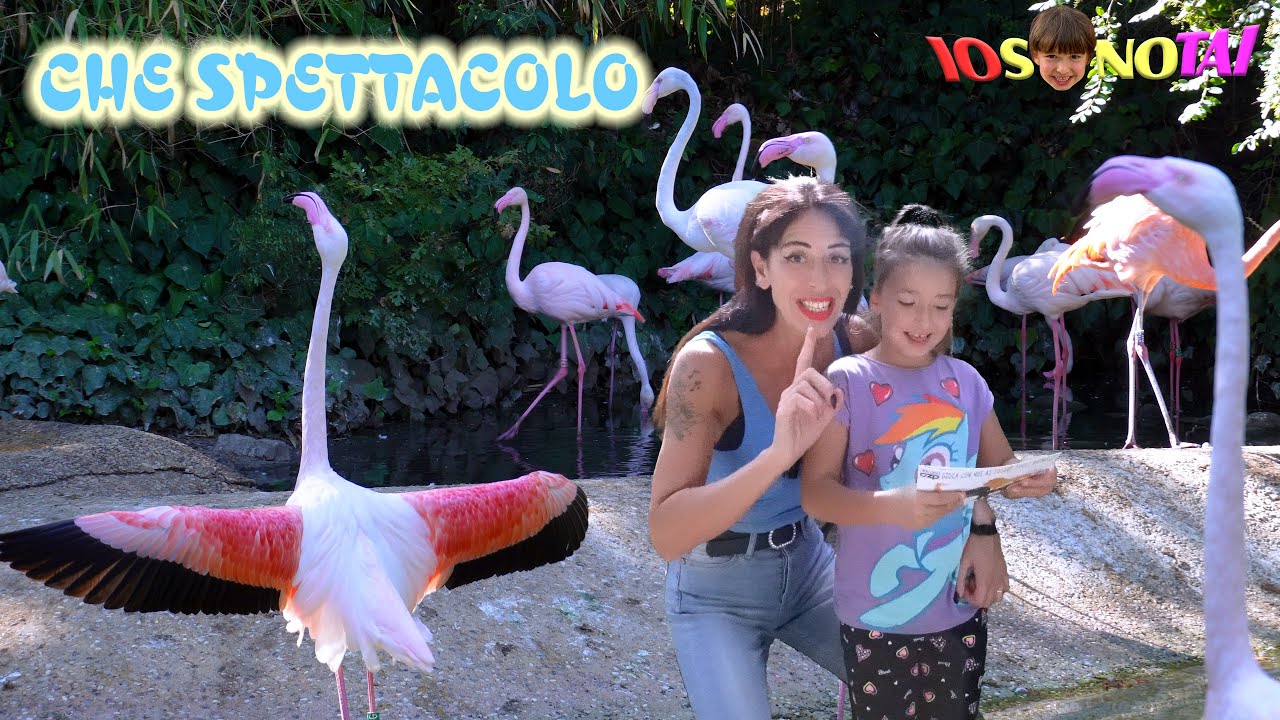Tai allo ZOO di PISTOIA