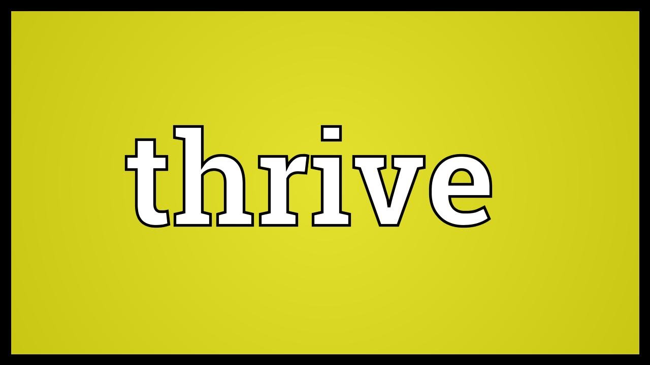 Thrive Meaning