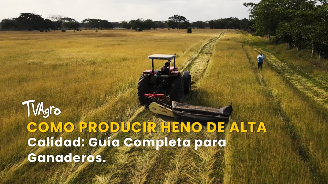 Como Producir Heno de Alta Calidad: Guía Completa para Ganaderos - TvAgro por Juan Gonzalo Angel