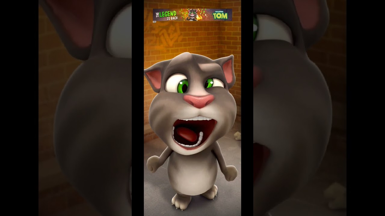 talking tom betting and drinking milk #tomtalk #talkingtom #funny #tomtaking #talkintom #cat