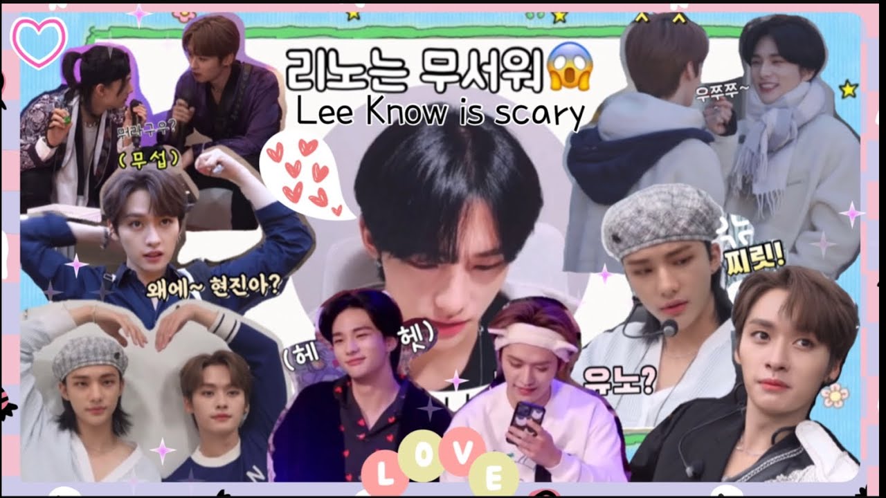 앙큼한 바부족젭 vs 우리집 큰고양이 코끼리노