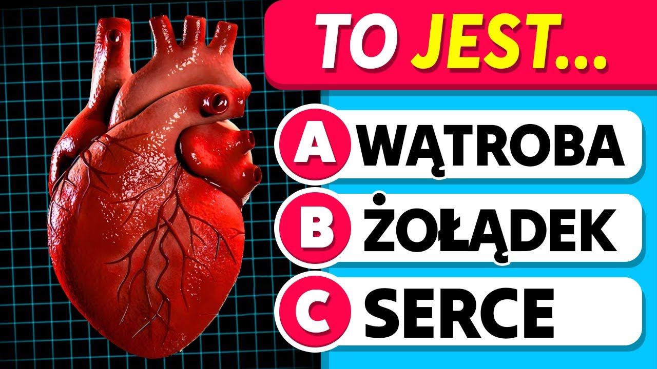Jak Dobrze Znasz Ludzkie Ciało? | Części ciała | Quiz Wiedzy Og&oacute;lnej