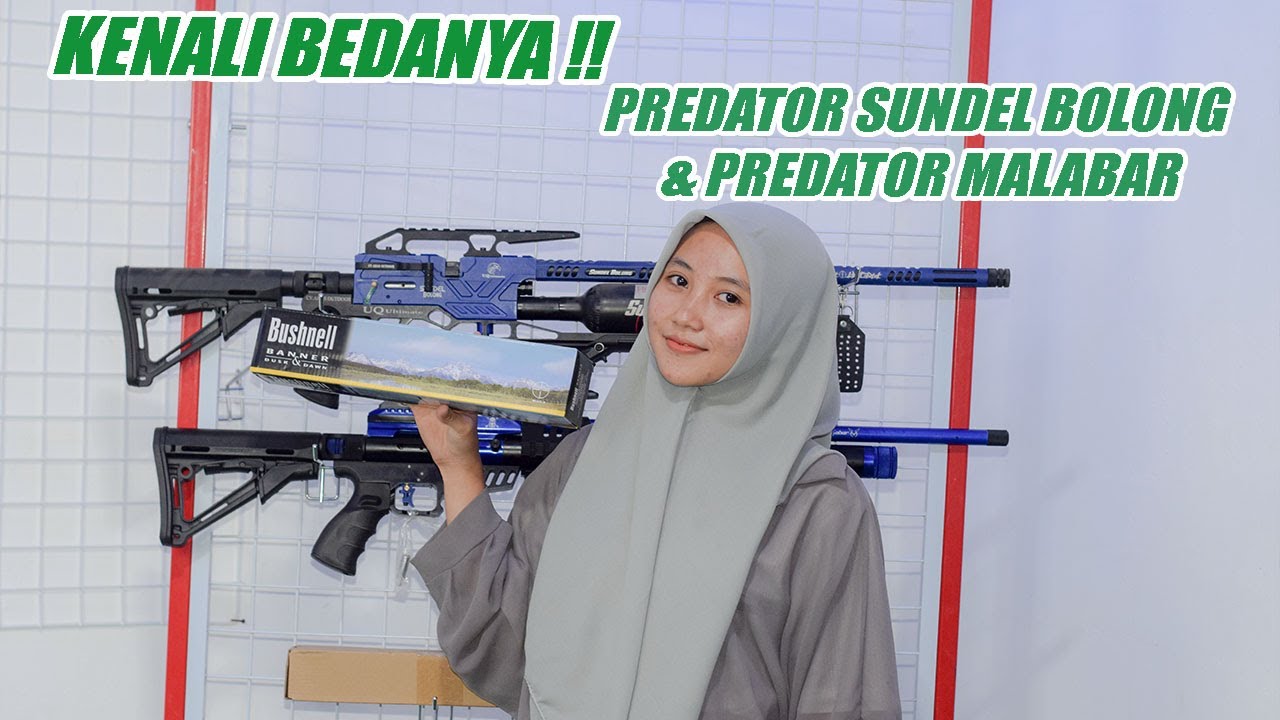 KENALI BEDANYA SEBELUM BELI..... SENAPAN ANGIN PCP PREDATOR MALABAR DAN PREDATOR SUNDEL BOLONG