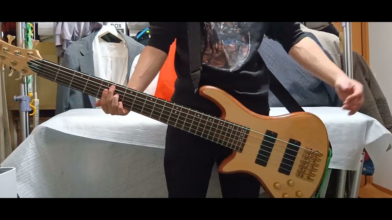 P!NK - So What 弾いてみた【ベース】