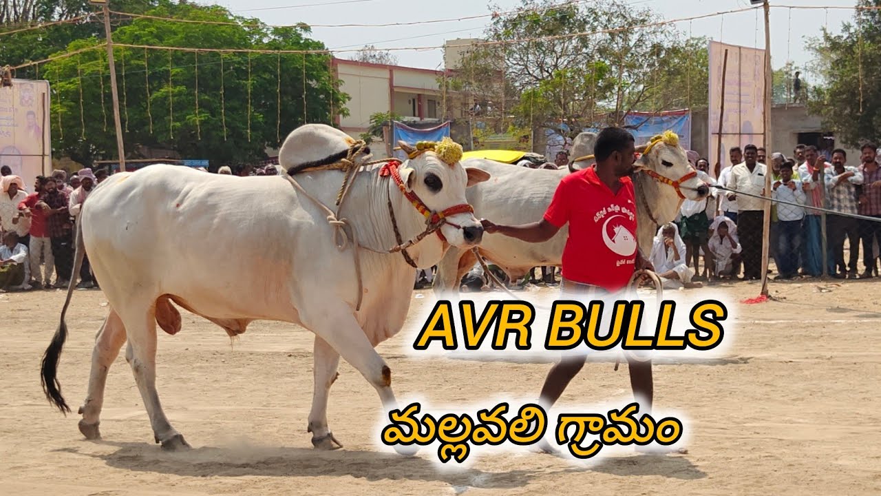 ఆకుల గణపవరం సీనియర్స్ 3వ