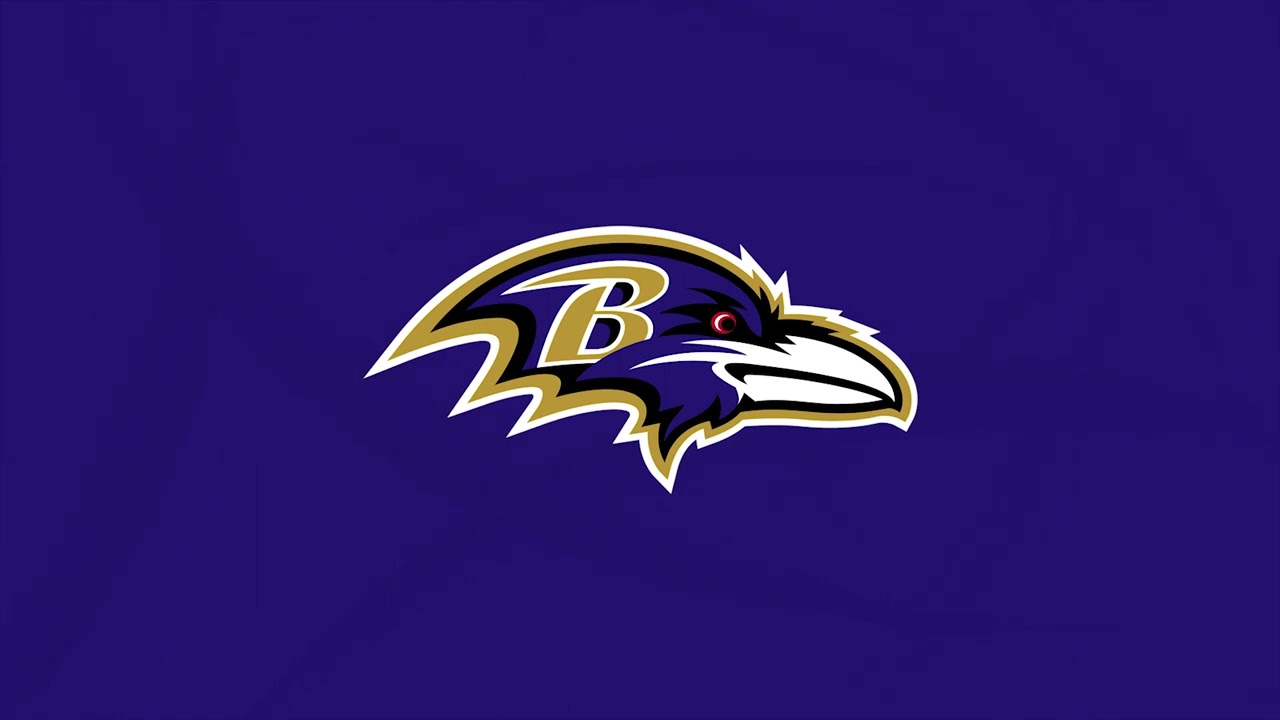Baltimore Ravens Fan Screensaver one hour Loop.