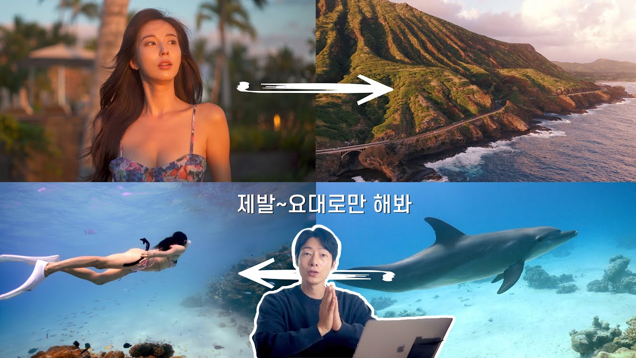 [ 금손프로젝트 ] 와 이게 되네? 너무 쉽지만 많은 사람들이 모르는 금손 편집 꿀팁