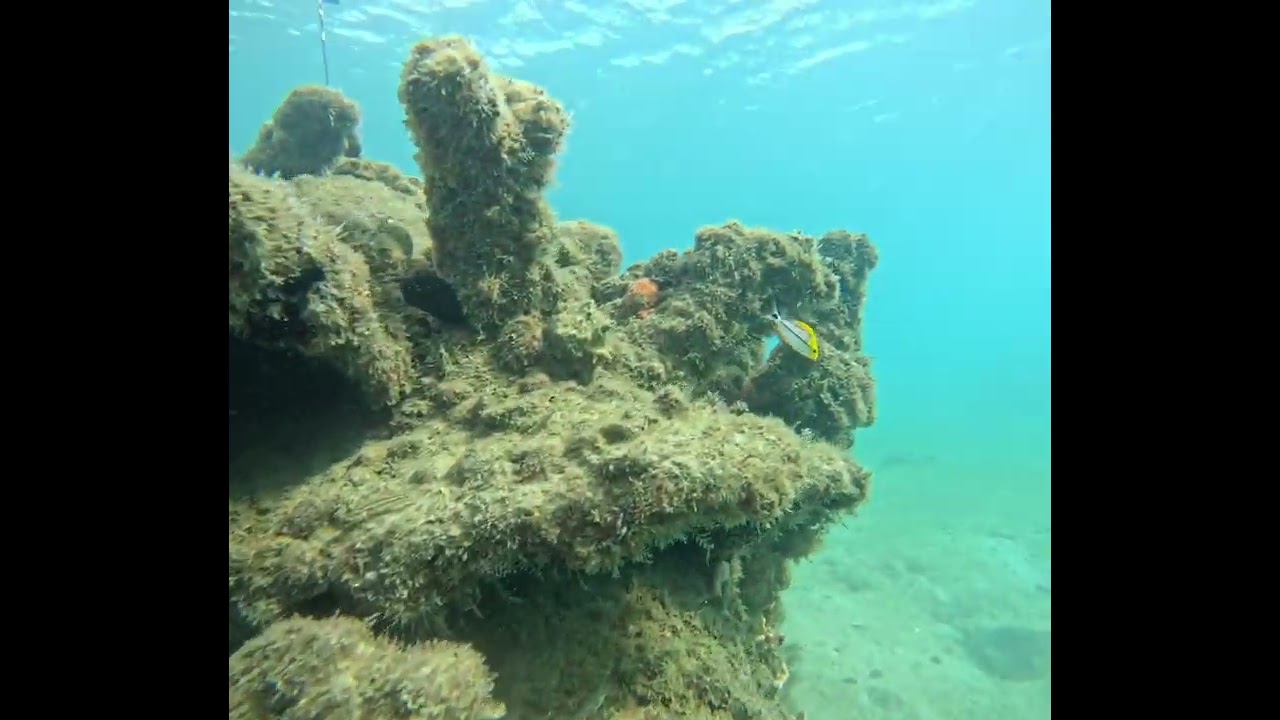 Blue Heron Bridge Scuba Diving