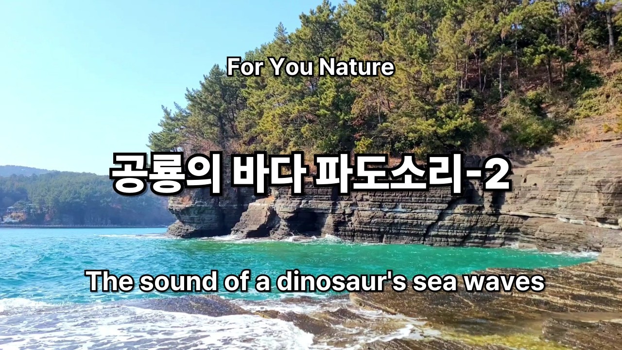 고성 덕명리 공룡의 바다 파도소리  - The sound of a dinosaur's sea waves