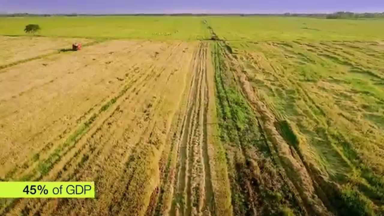 Green Journey 