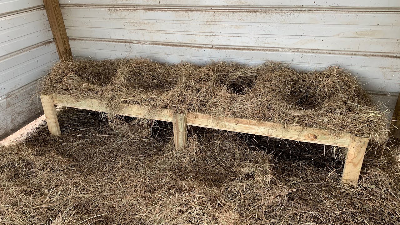 How to Build a Turkey Nest Box | A Payne Family Saturday