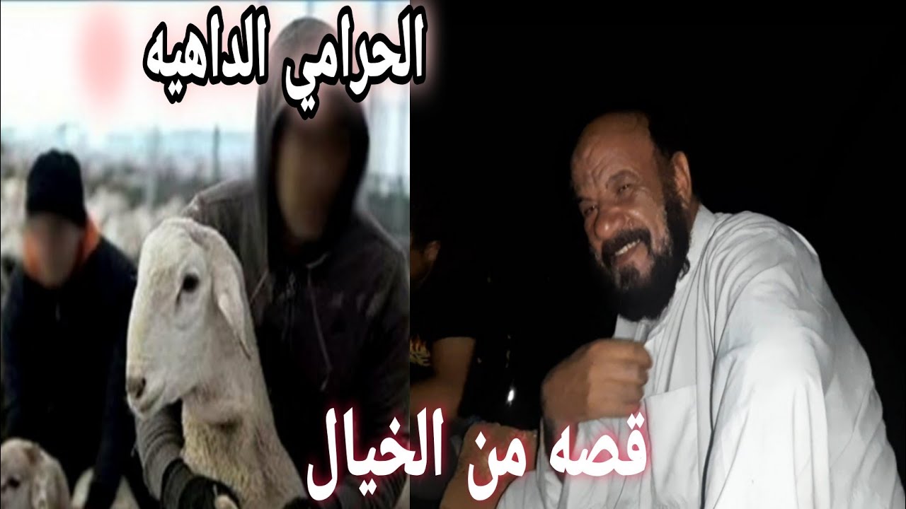 قصة الحرامي الداهيه ينصح بالمشاهده