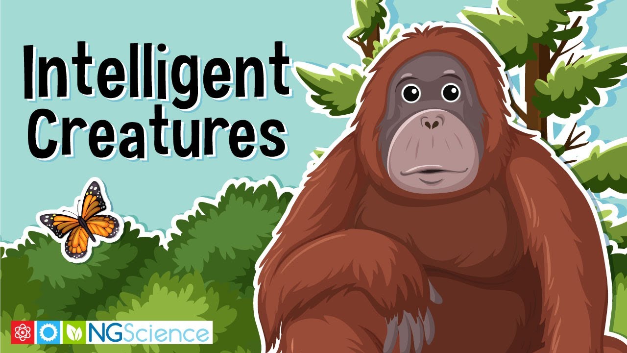 Intelligent Creatures