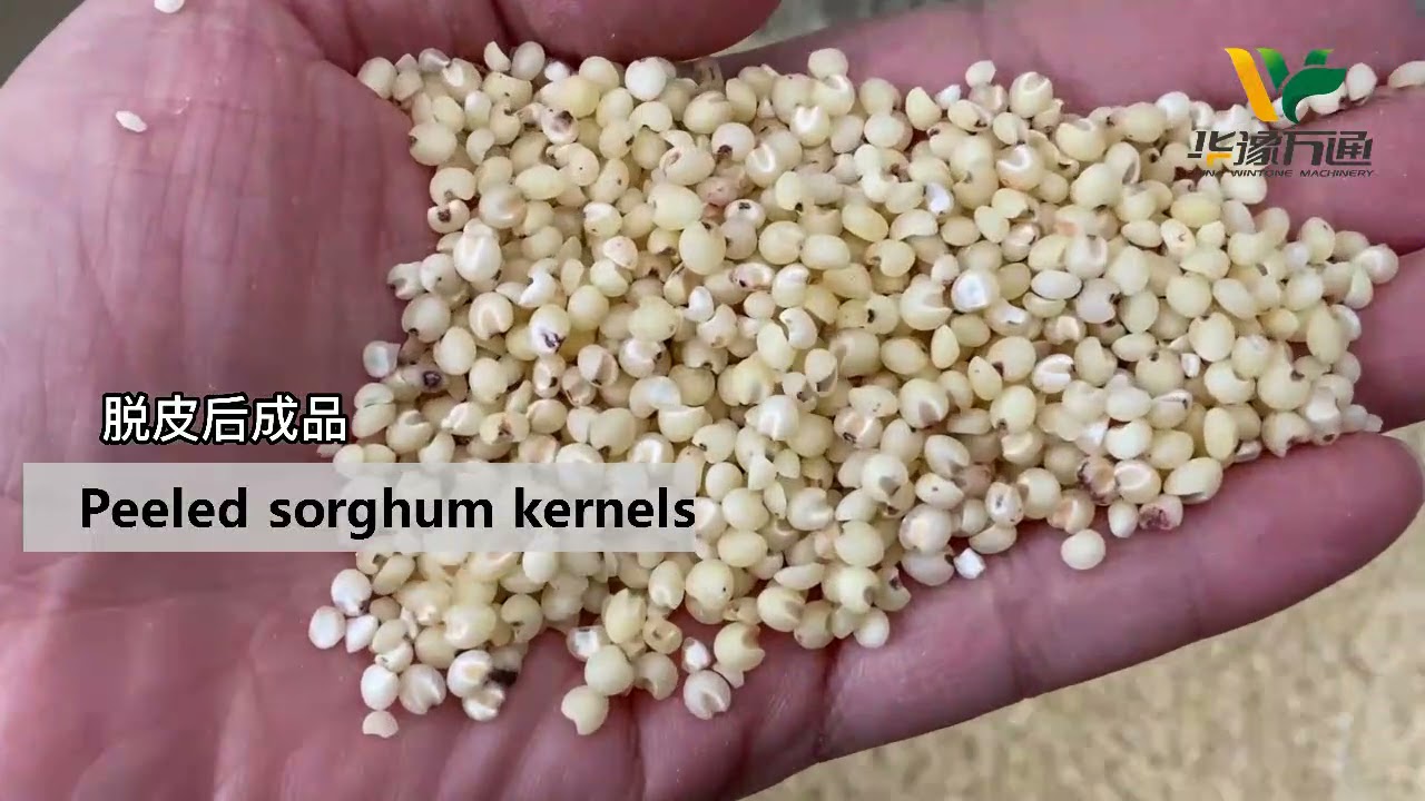 Patent product: HTG Sorghum Peeling Machine,Sorghum Dehulling Machine Jowar Machine,Sorghum dehuller