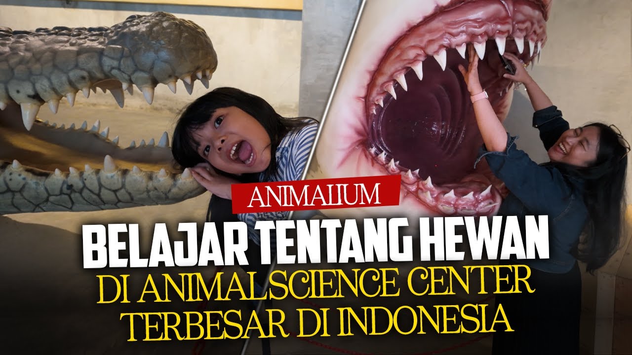 TEMPAT BELAJAR HEWAN TERBESAR & TERLENGKAP DI INDONESIA | ANIMALIUM BRIN CIBINONG BOGOR
