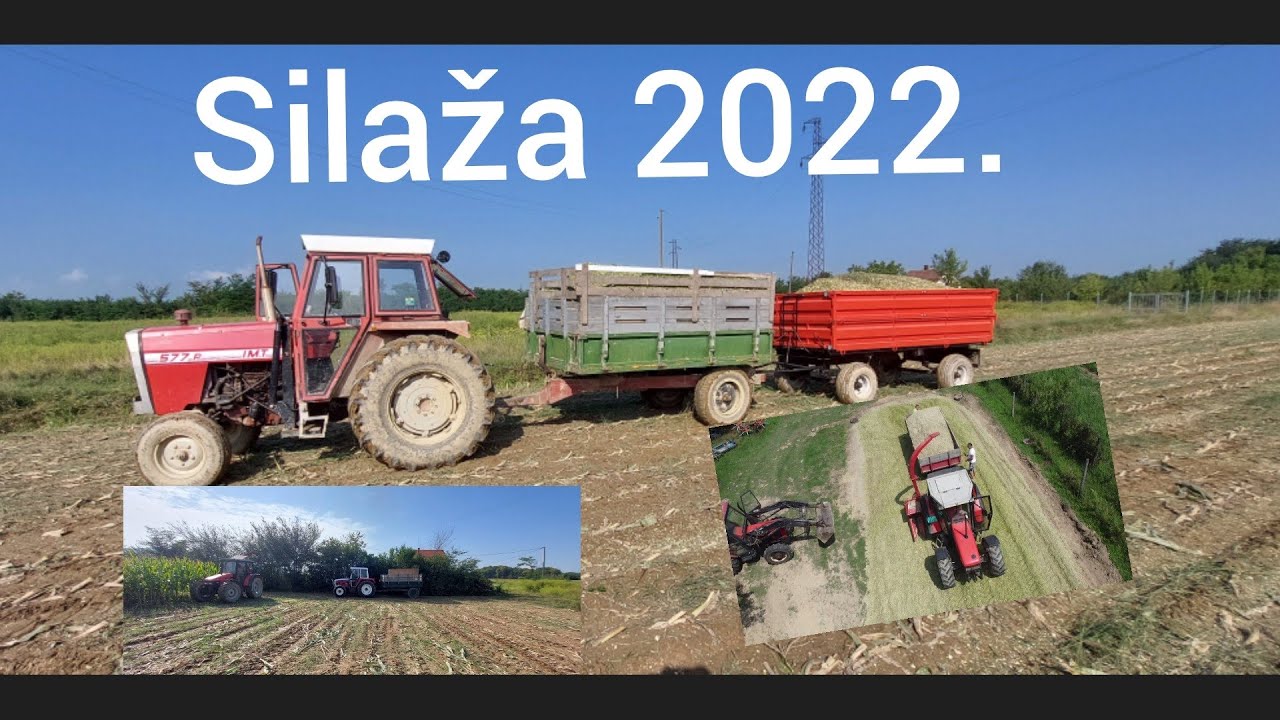 Silaža kukuruza 2022. godine.