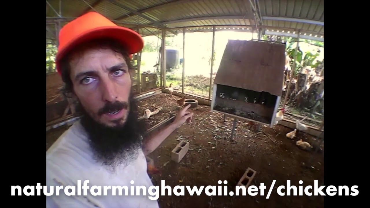 KNF Chicken System Upgrades