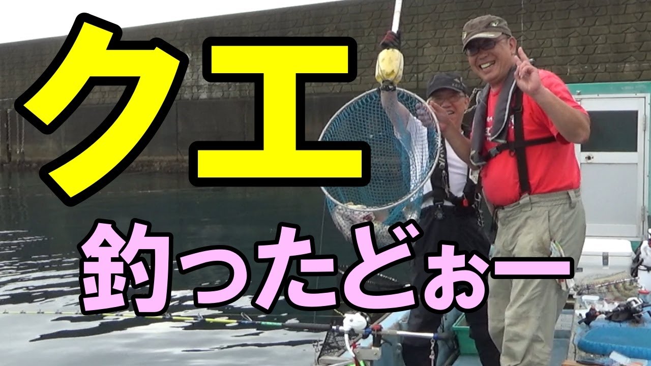 イワシエサでクエが釣れた浅海奥のカセ