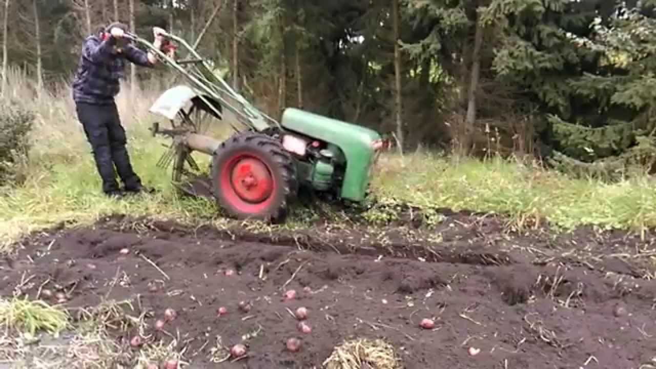 harvesting potatoes wiht holder e12. 2015
