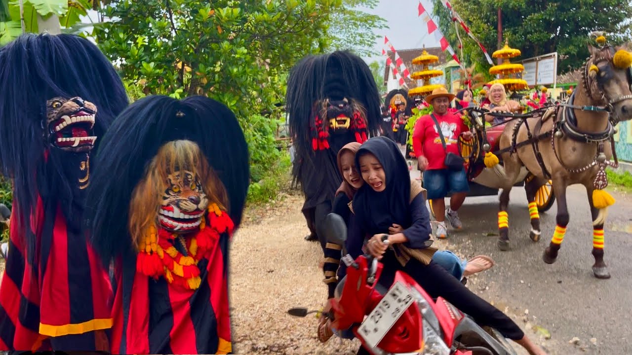 PANIK! JATUH DIKEJAR BARONGAN!! Arak arakan Barongan Blora & Reog ponorogo Satyo Singo Mudo 