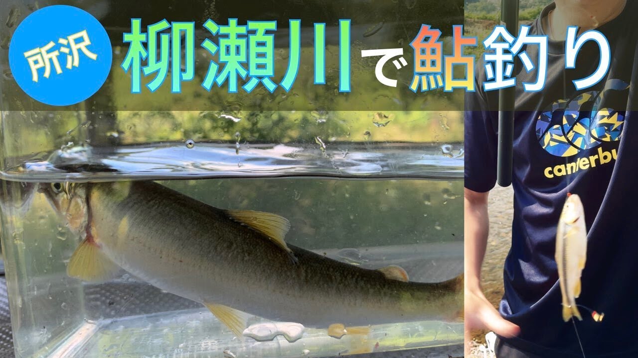 4K  [柳瀬川で鮎釣り！果たして！？]