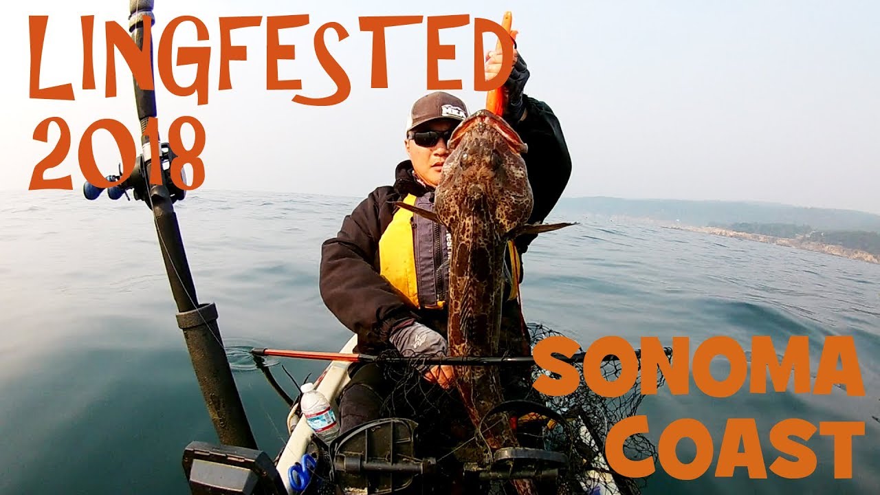 Timber Cove Sonoma Coast Kayak Lingcod Fishing on my Hobie Revolution